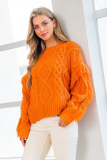 Load image into Gallery viewer, Knit Fringe Sleeve Sweater
